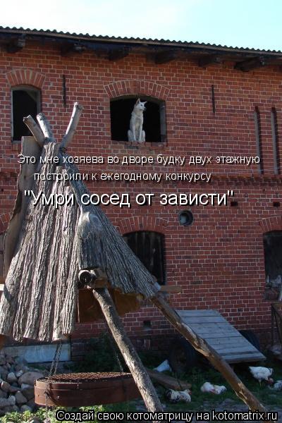 Это мне хозяева во дворе будку двух этажную построили к ежегодному конкурсу "Умри сосед от зависти"... Котоматрица: Это мне хозяева во дворе будку двух этажную построили к ежегодному конкурсу "Умри сосед от зависти"