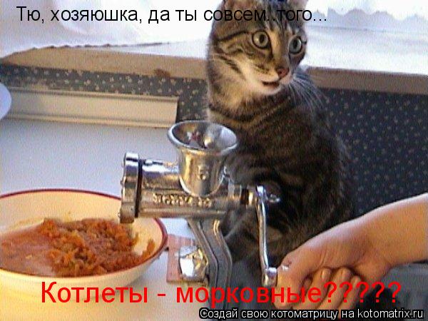 Тю, хозяюшка, да ты совсем..того... Котлеты - морковные?????... Котоматрица: Тю, хозяюшка, да ты совсем..того... Котлеты - морковные?????