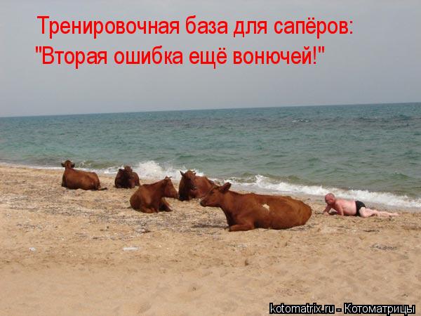 Тренировочная база для сапёров: "Вторая ошибка ещё вонючей!"... Котоматрица: Тренировочная база для сапёров: "Вторая ошибка ещё вонючей!"