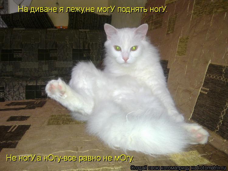 На диване я лежу,не могУ поднять ногУ. Не ногУ,а нОгу-все равно не мОгу.... Котоматрица: На диване я лежу,не могУ поднять ногУ. Не ногУ,а нОгу-все равно не мОгу.