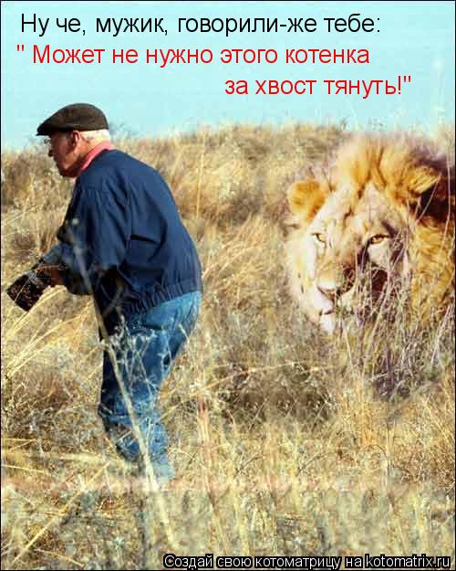 Ну че, мужик, говорили-же тебе: " Может не нужно этого котенка за хвост тянуть!"... Котоматрица: Ну че, мужик, говорили-же тебе: " Может не нужно этого котенка за хвост тянуть!"