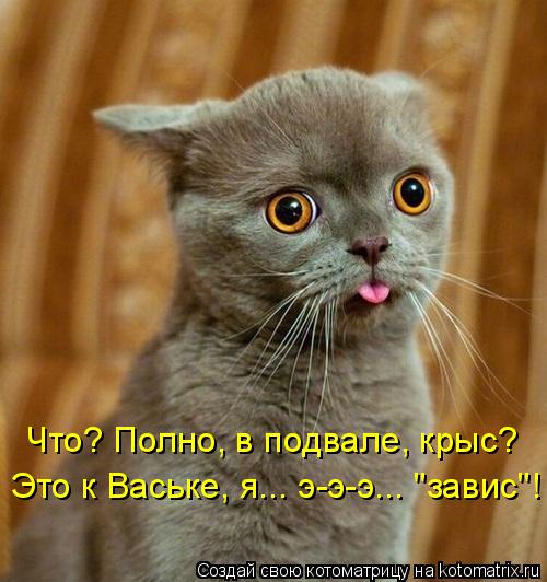 Что? Полно, в подвале, крыс? Это к Ваське, я... э-э-э... "завис"!... Котоматрица: Что? Полно, в подвале, крыс? Это к Ваське, я... э-э-э... "завис"!