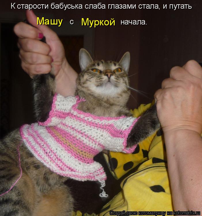 К старости бабуська слаба глазами стала, и путать Машу с Муркой начала.... Котоматрица: К старости бабуська слаба глазами стала, и путать Машу с Муркой начала.