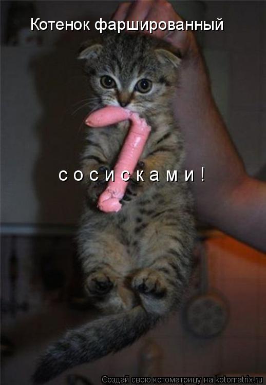 Котенок фаршированный с о с и с к а м и !... Котоматрица: Котенок фаршированный с о с и с к а м и !