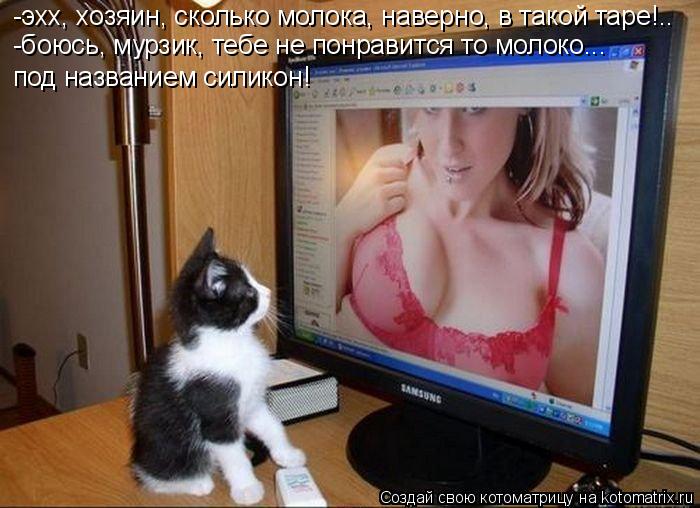 -эхх, хозяин, сколько молока, наверно, в такой таре!.. -боюсь, мурзик, тебе не понравится то молоко..... Котоматрица: -эхх, хозяин, сколько молока, наверно, в такой таре!.. -боюсь, мурзик, тебе не понравится то молоко... под названием силикон!
