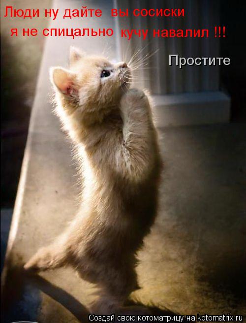 Люди ну дайте вы сосиски я не спицально кучу навалил !!! Простите... Котоматрица: Люди ну дайте вы сосиски я не спицально кучу навалил !!! Простите