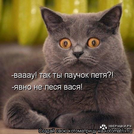 -вааау! так ты паучок петя?! -явно не песя вася!... Котоматрица: -вааау! так ты паучок петя?! -явно не песя вася!