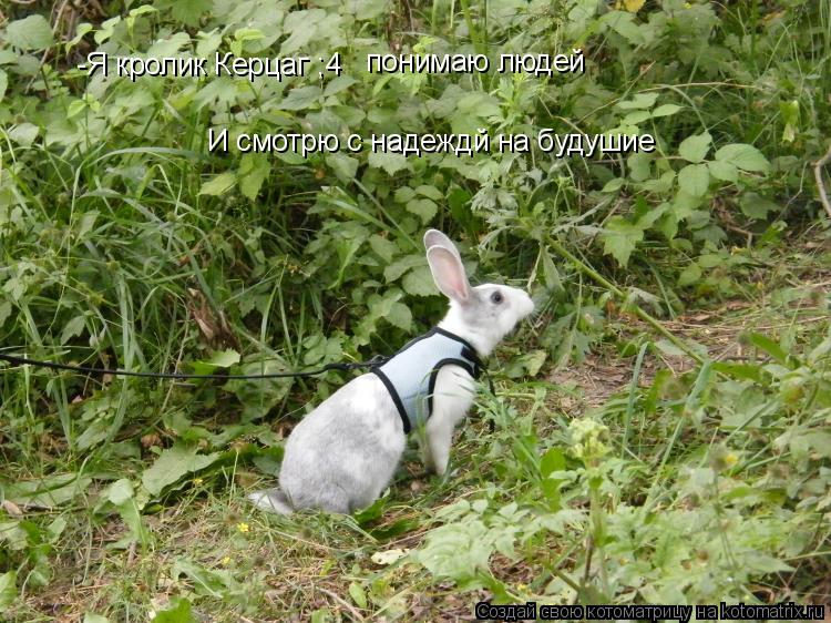 -Я кролик Керцаг ;4 понимаю людей И смотрю с надеждй на будушие... Котоматрица: -Я кролик Керцаг ;4 понимаю людей И смотрю с надеждй на будушие