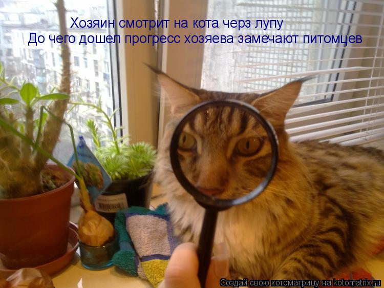Хозяин смотрит на кота черз лупу До чего дошел прогресс хозяева замечают питомцев... Котоматрица: Хозяин смотрит на кота черз лупу До чего дошел прогресс хозяева замечают питомцев