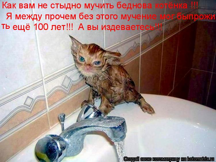 Как вам не стыдно мучить беднова котёнка !!! Я между прочем без этого мучение мог быпрожить ть ещё 1... Котоматрица: Как вам не стыдно мучить беднова котёнка !!! Я между прочем без этого мучение мог быпрожить ть ещё 100 лет!!! А вы издеваетесь!!!