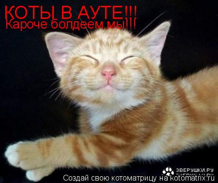 КОТЫ В АУТЕ!!! Кароче болдеем мы!!!... Котоматрица: КОТЫ В АУТЕ!!! Кароче болдеем мы!!!