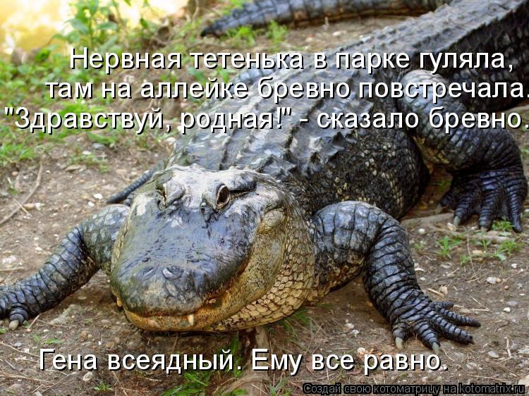 Нервная тетенька в парке гуляла, там на аллейке бревно повстречала. "Здравствуй, родная!" - сказало ... Котоматрица: Нервная тетенька в парке гуляла, там на аллейке бревно повстречала. "Здравствуй, родная!" - сказало бревно. Гена всеядный. Ему все равно.
