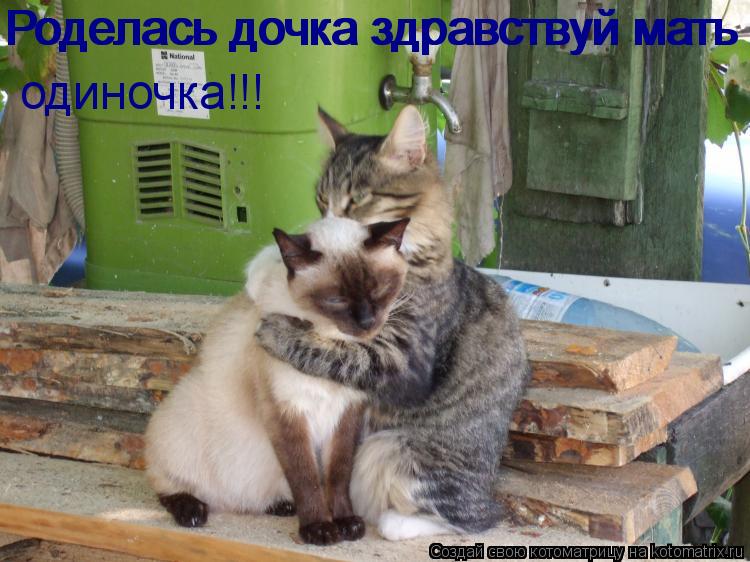 Роделась дочка здравствуй мать Роделась дочка здравствуй мать одиночка!!!... Котоматрица: Роделась дочка здравствуй мать Роделась дочка здравствуй мать одиночка!!!
