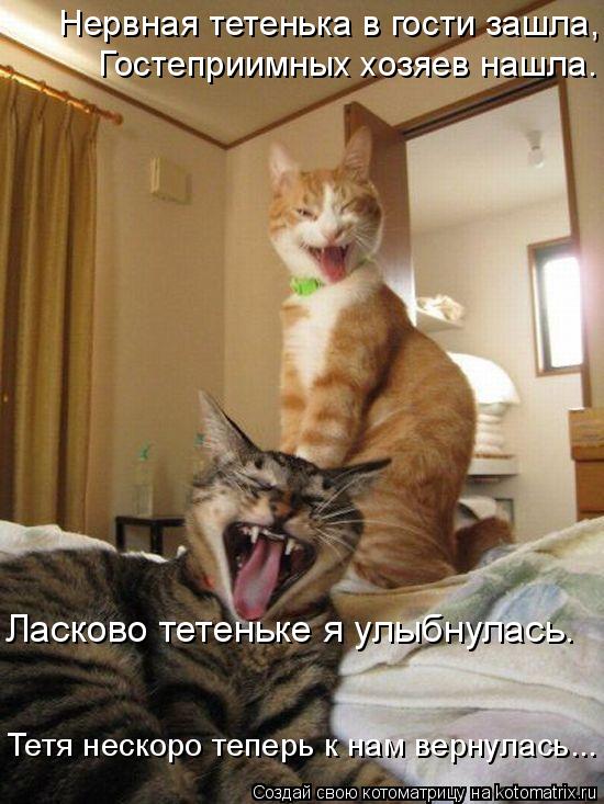 Ласково тетеньке я улыбнулась. Нервная тетенька в гости зашла, Гостеприимных хозяев нашла. Тетя неск... Котоматрица: Ласково тетеньке я улыбнулась. Нервная тетенька в гости зашла, Гостеприимных хозяев нашла. Тетя нескоро теперь к нам вернулась...
