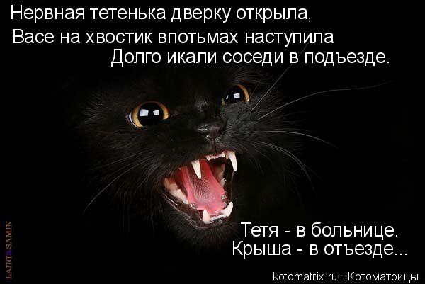 Васе на хвостик впотьмах наступила Нервная тетенька дверку открыла, Долго икали соседи в подъезде. Т... Котоматрица: Васе на хвостик впотьмах наступила Нервная тетенька дверку открыла, Долго икали соседи в подъезде. Тетя - в больнице. Крыша - в отъезде...