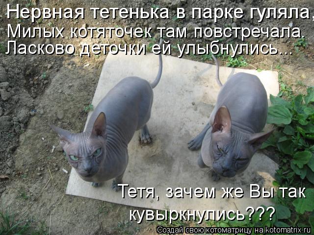 Нервная тетенька в парке гуляла, Милых котяточек там повстречала. Ласково деточки ей улыбнулись... Т... Котоматрица: Нервная тетенька в парке гуляла, Милых котяточек там повстречала. Ласково деточки ей улыбнулись... Тетя, зачем же Вы так кувыркнулись???