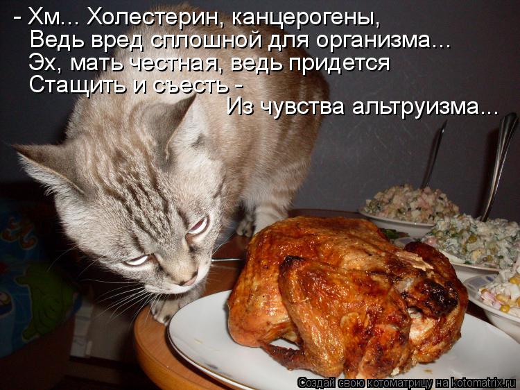 - Хм... Холестерин, канцерогены, Ведь вред сплошной для организма... Эх, мать честная, ведь придется ... Котоматрица: - Хм... Холестерин, канцерогены, Ведь вред сплошной для организма... Эх, мать честная, ведь придется Стащить и съесть - Из чувства альтруизма...