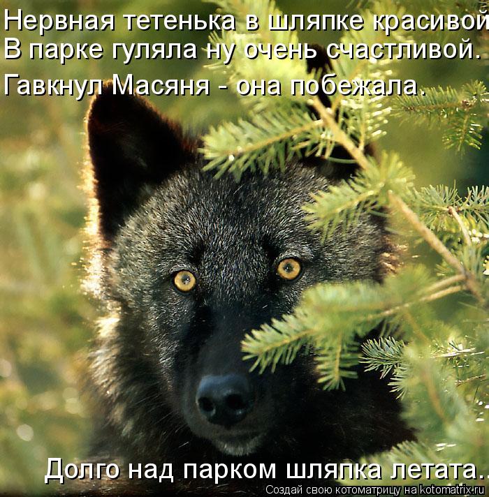 Нервная тетенька в шляпке красивой В парке гуляла ну очень счастливой. Гавкнул Масяня - она побежала... Котоматрица: Нервная тетенька в шляпке красивой В парке гуляла ну очень счастливой. Гавкнул Масяня - она побежала. Долго над парком шляпка летата...