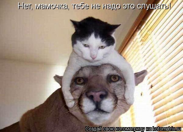 Нет, мамочка, тебе не надо это слушать!... Котоматрица: Нет, мамочка, тебе не надо это слушать!
