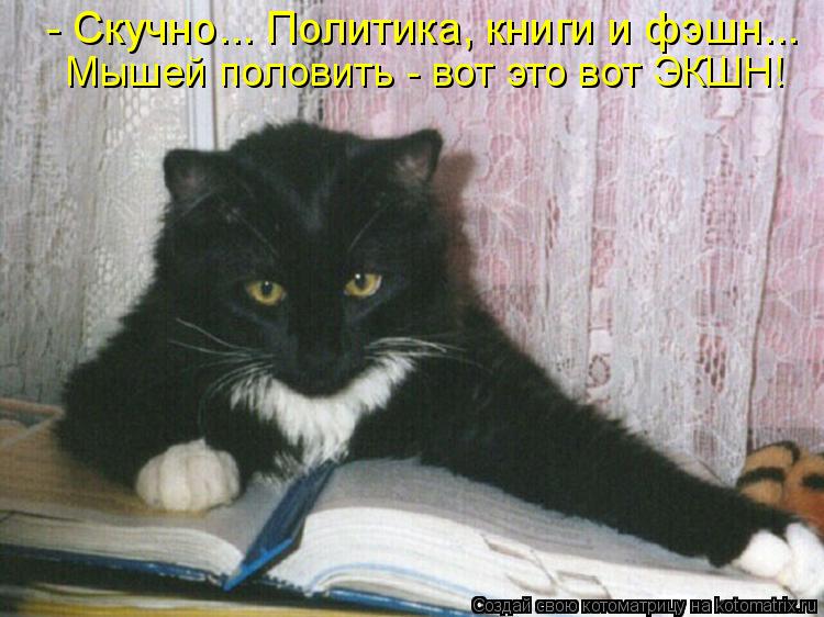 - Скучно... Политика, книги и фэшн... Мышей половить - вот это вот ЭКШН!... Котоматрица: - Скучно... Политика, книги и фэшн... Мышей половить - вот это вот ЭКШН!