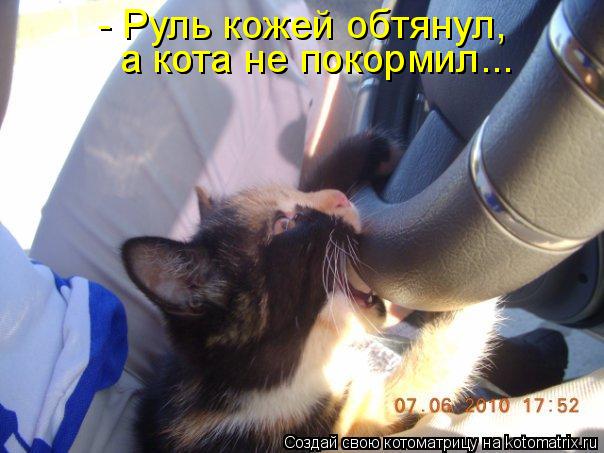 - Руль кожей обтянул, а кота не покормил... а кота не покормил...... Котоматрица: - Руль кожей обтянул, а кота не покормил... а кота не покормил...