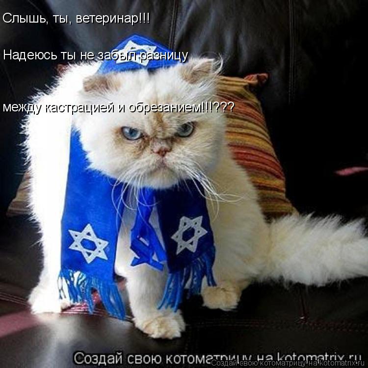 Слышь, ты, ветеринар!!! Надеюсь ты не забыл разницу между кастрацией и обрезанием!!!???... Котоматрица: Слышь, ты, ветеринар!!! Надеюсь ты не забыл разницу между кастрацией и обрезанием!!!???