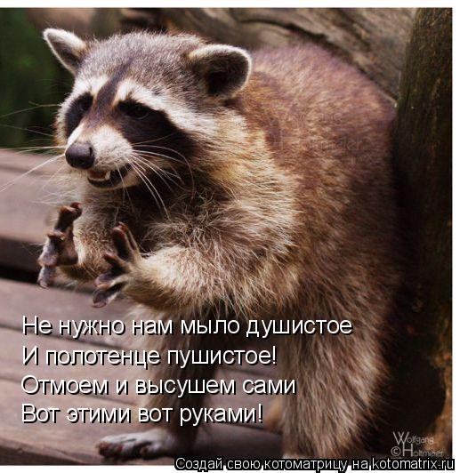 Не нужно нам мыло душистое И полотенце пушистое! Отмоем и высушем сами Вот этими вот руками!... Котоматрица: Не нужно нам мыло душистое И полотенце пушистое! Отмоем и высушем сами Вот этими вот руками!
