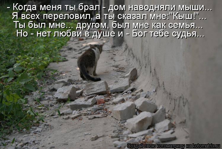 - Когда меня ты брал - дом наводняли мыши... Я всех переловил, а ты сказал мне:"Кыш!"... Ты был мне..... Котоматрица: - Когда меня ты брал - дом наводняли мыши... Я всех переловил, а ты сказал мне:"Кыш!"... Ты был мне... другом, был мне как семья... Но - нет любви в д