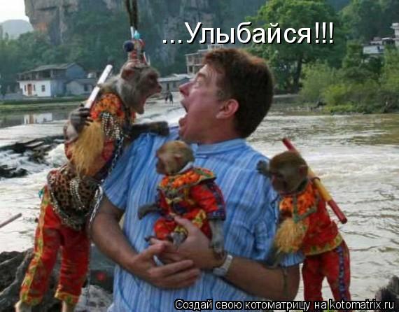 ...Улыбайся!!!... Котоматрица: ...Улыбайся!!!