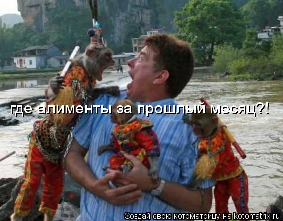 где алименты за прошлый месяц?!... Котоматрица: где алименты за прошлый месяц?!
