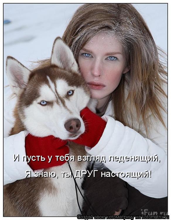 И пусть у тебя взгляд леденящий, Я знаю, ты ДРУГ настоящий!... Котоматрица: И пусть у тебя взгляд леденящий, Я знаю, ты ДРУГ настоящий!
