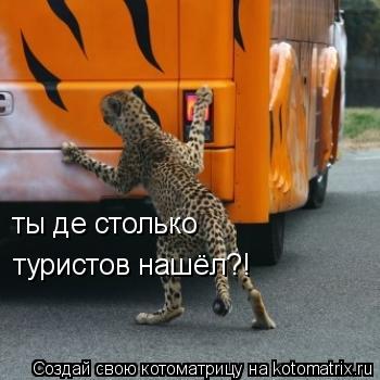 ты де столько туристов нашёл?!... Котоматрица: ты де столько туристов нашёл?!