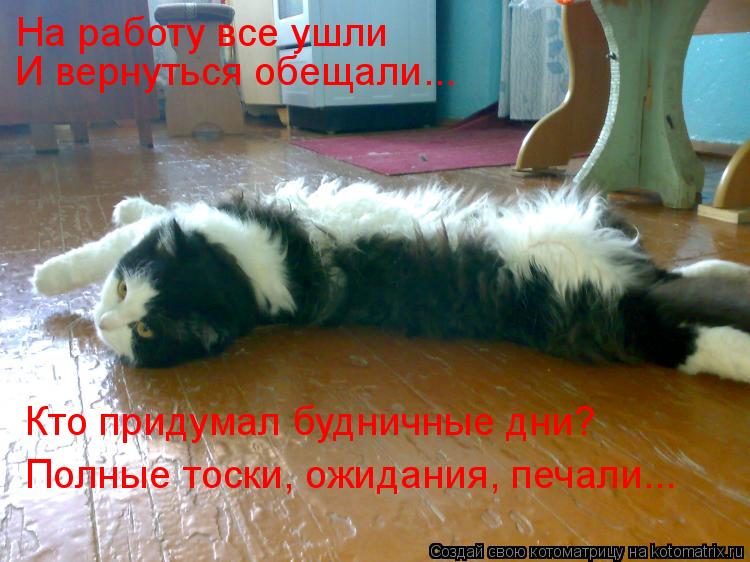 На работу все ушли И вернуться обещали... Кто придумал будничные дни? Полные тоски, ожидания, печали.... Котоматрица: На работу все ушли И вернуться обещали... Кто придумал будничные дни? Полные тоски, ожидания, печали...