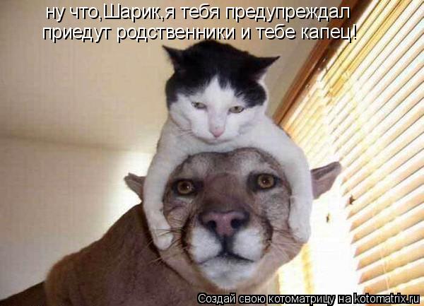 ну что,Шарик,я тебя предупреждал приедут родственники и тебе капец!... Котоматрица: ну что,Шарик,я тебя предупреждал приедут родственники и тебе капец!
