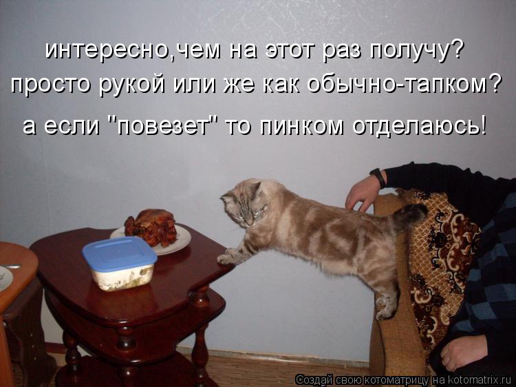интересно,чем на этот раз получу? просто рукой или же как обычно-тапком? а если "повезет" то пинком о... Котоматрица: интересно,чем на этот раз получу? просто рукой или же как обычно-тапком? а если "повезет" то пинком отделаюсь!