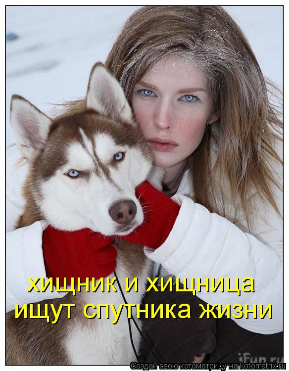 хищник и хищница ищут спутника жизни... Котоматрица: хищник и хищница ищут спутника жизни