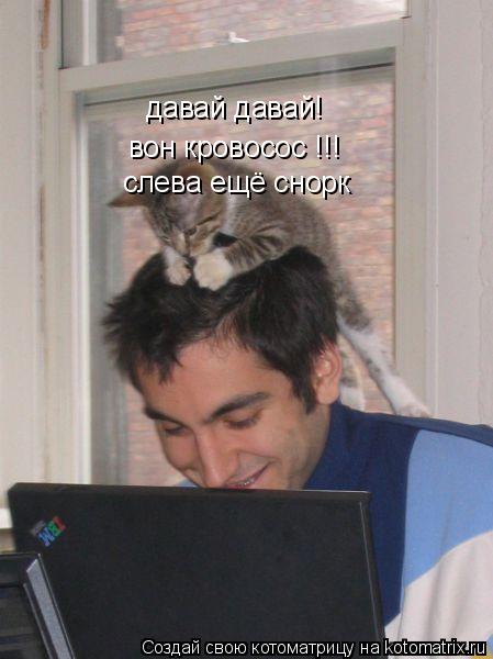 давай давай! вон кровосос !!! слева ещё снорк... Котоматрица: давай давай! вон кровосос !!! слева ещё снорк