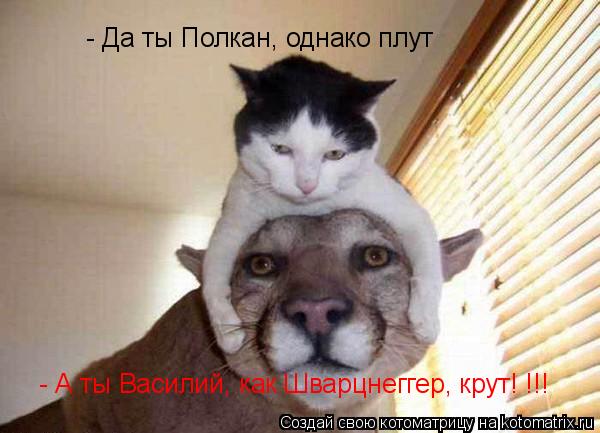 - Да ты Полкан, однако плут - А ты Василий, как Шварцнеггер, крут! !!!... Котоматрица: - Да ты Полкан, однако плут - А ты Василий, как Шварцнеггер, крут! !!!