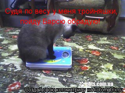 Судя по весу у меня тройняшки, пойду Барсю обрадую!... Котоматрица: Судя по весу у меня тройняшки, пойду Барсю обрадую!