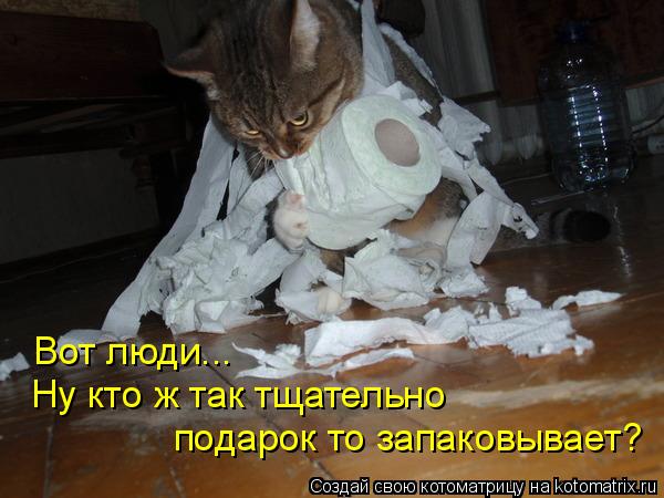 Ну кто ж так тщательно подарок то запаковывает? Вот люди...... Котоматрица: Ну кто ж так тщательно подарок то запаковывает? Вот люди...