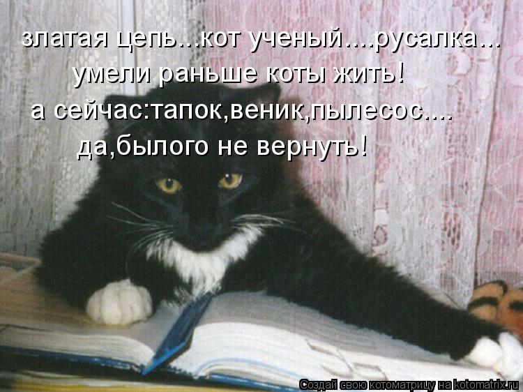 златая цепь...кот ученый....русалка... умели раньше коты жить! а сейчас:тапок,веник,пылесос.... да,бы... Котоматрица: златая цепь...кот ученый....русалка... умели раньше коты жить! а сейчас:тапок,веник,пылесос.... да,былого не вернуть!