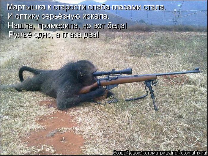 Котоматрица: Мартышка к старости слаба глазами стала. И оптику серьёзную искала. Нашла, примерила, но вот беда! Ружьё одно, а глаза два!