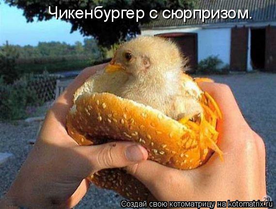 Чикенбургер с сюрпризом.... Котоматрица: Чикенбургер с сюрпризом.