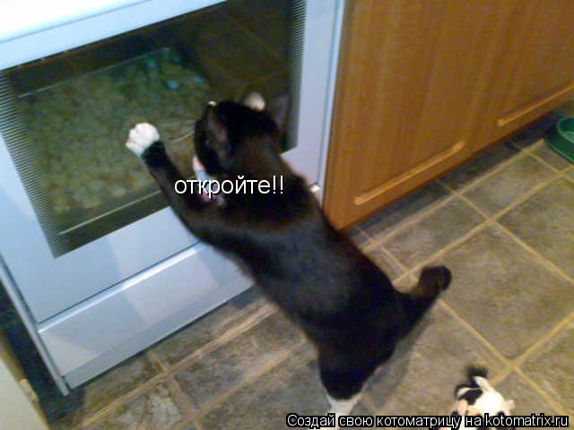 Котоматрица: откройте!!