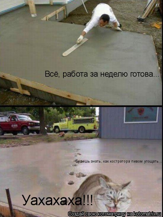 Котоматрица: Уахахаха!!! Всё, работа за неделю готова... Будешь знать, как костратора пивом угощать...