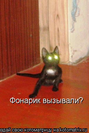 Фонарик вызывали?... Котоматрица: Фонарик вызывали?