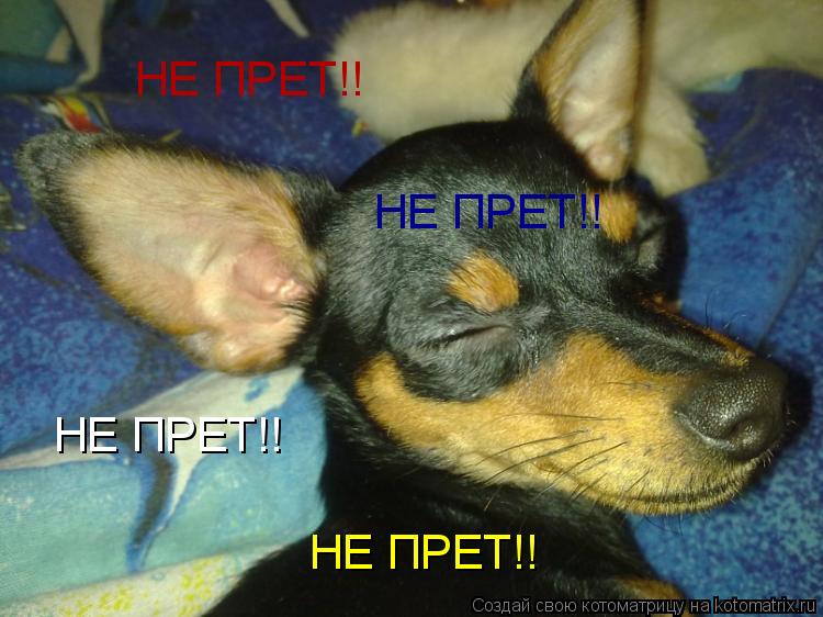 НЕ ПРЕТ!! НЕ ПРЕТ!! НЕ ПРЕТ!! НЕ ПРЕТ!!... Котоматрица: НЕ ПРЕТ!! НЕ ПРЕТ!! НЕ ПРЕТ!! НЕ ПРЕТ!!