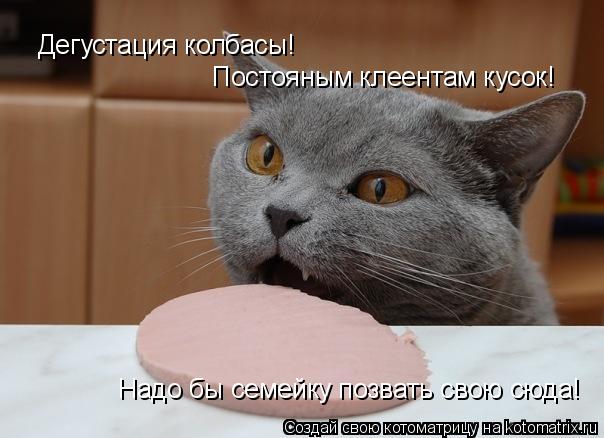 Дегустация колбасы! Постояным клеентам кусок! Надо бы семейку позвать свою сюда!... Котоматрица: Дегустация колбасы! Постояным клеентам кусок! Надо бы семейку позвать свою сюда!