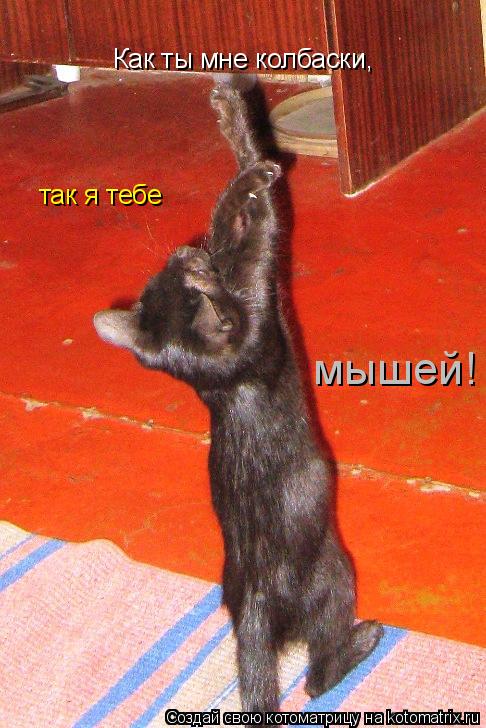 Как ты мне колбаски, так я тебе мышей!... Котоматрица: Как ты мне колбаски, так я тебе мышей!
