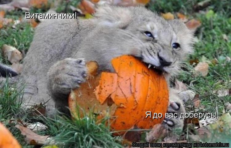 Витаминчики! Я до вас доберусь!... Котоматрица: Витаминчики! Я до вас доберусь!